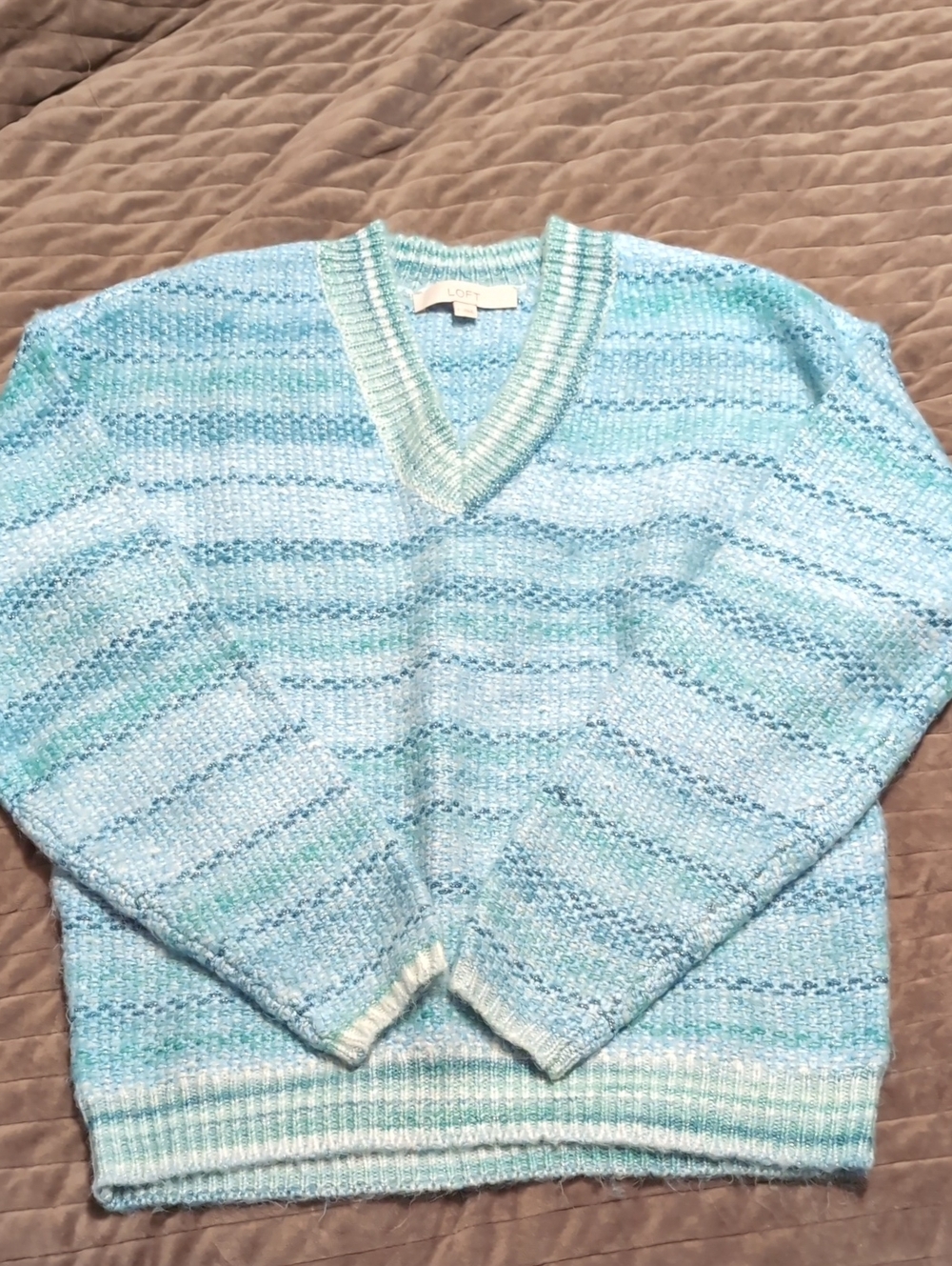 Loft Women's V Neck Sweater